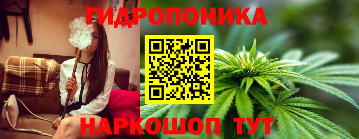 Ревда  Бошки марихуана White Widow  МАРИХУАНА план  Вход с VPN 